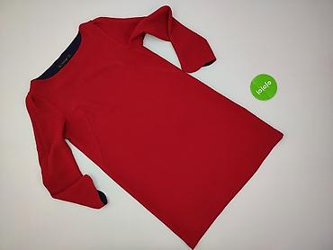zara basic 77302: Zara, Sukienka damska, rozmiar M — 2