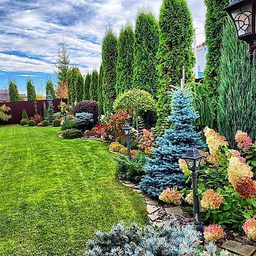 Другие стройуслуги: Сеем газон ландшафтный дизайн бишкек авто полив ручной полив посадка — 5