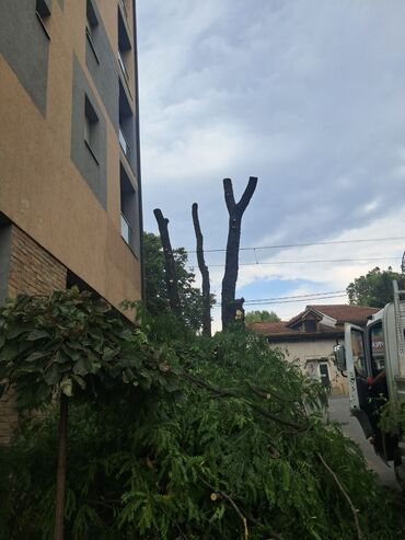 Građevinarstvo i rekonstrukcija: U ponudi su profesionalne hortikulturne usluge koje uključuju košenje — 7