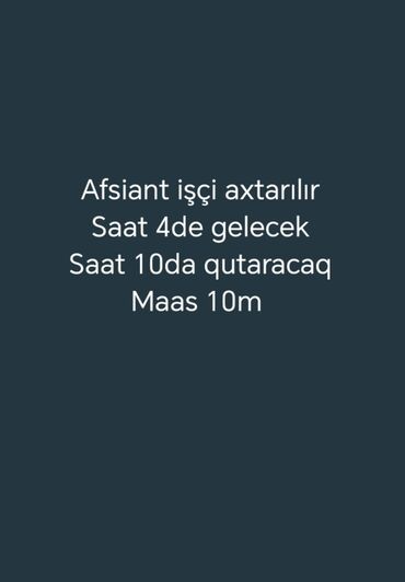 Xadimələr, təmizlikçilər: Ofisiant tələb olunur, Restoran, İstənilən yaş, 1 ildən az təcrübə