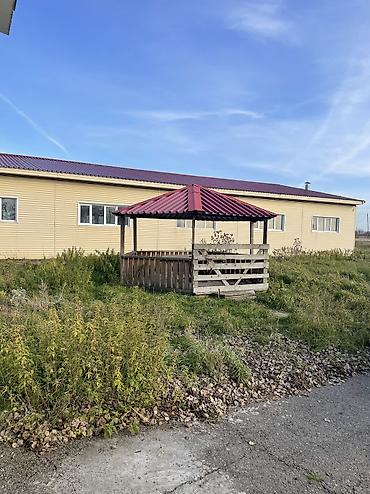 Продажа помещений свободного назначения: Продаётся сельскохозяйственный комплекс с землёй и капитальными — 14