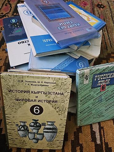 Книги и журналы: Комплект учебников для 6 класса (русский язык обучения). В набор — 1