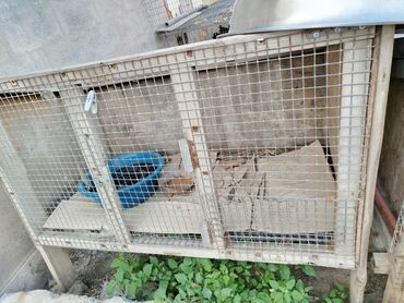 кухоный шкаф б у: Кролятники без крышиколичество 2 штуки ну профнастил у меня есть