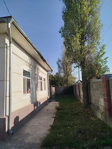 александровка купить дом: Продаётся жилой дом с большой территорией. - Отдельностоящий — 2