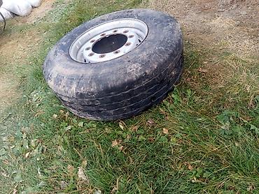 полуприцеп купить бу: Колеса в сборе 385 / 65 / R 22,5, Б/у, 1 шт, Грузовики/Автобусы, Железные, отверстий - 10 — 6