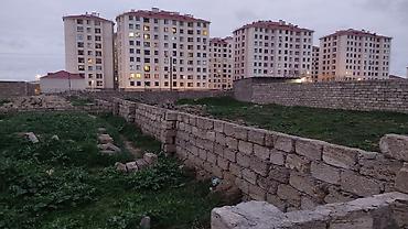 savxoz ramana heyet evleri: 2 sot, Kənd təsərrüfatı, Mülkiyyətçi, Kupça (Çıxarış) — 8