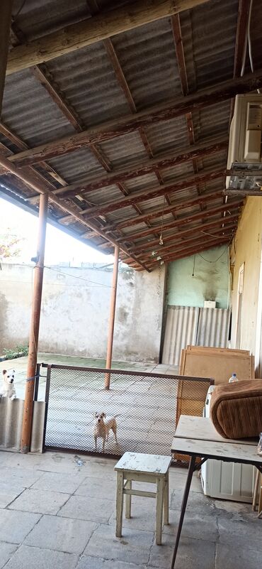 Həyət evləri və villaların satışı: 3 otaqlı, 200 kv. m, Kredit yoxdur, Təmirsiz -da lalafo.az — 2 Həyət evləri və villaların satışı: 3 otaqlı, 200 kv. m, Kredit yoxdur, Təmirsiz — 2