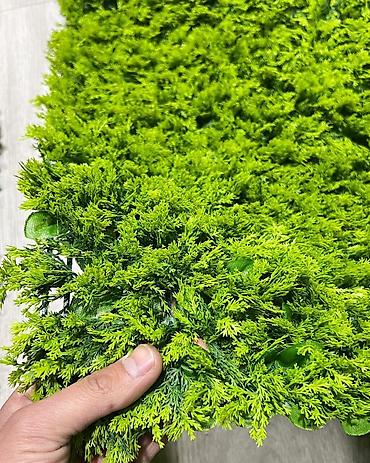 Süni güllər: 🌿 “Green Line ilə Gözəllik Hesablanmaz – 50+50 dekor gül, 1 şirkət, 0 — 10