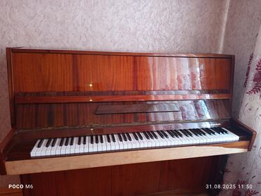 Звуковое оборудование: Görkəmli taxta korpusa malik dik piano. Alət hər hansı bir ev və ya