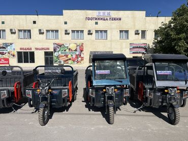 электро муравей: Мототрицикл "ИРБИС TIGER" представляет собой трехколесное транспортное