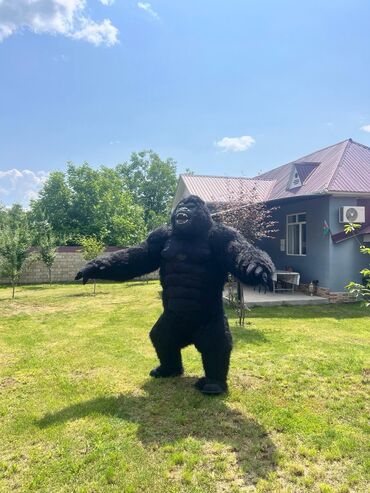 uşaqlar üçün hərbi forma: King kong Kloun paltari biznes qurmaq isteyenler maraqlana biler yeni