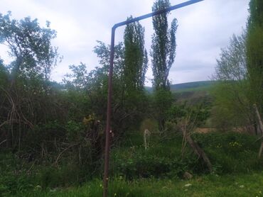 Torpaq sahələrinin satışı: Yaşıl otlar və müxtəlif ağaclarla örtülmüş, yamaclı ərazidə yerləşən — 7