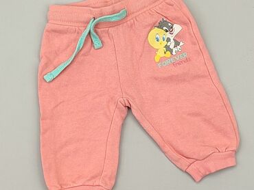 spodnie dresowe dla nastolatków: Sweatpants, Pepco, 3-6 months, condition - Very good
