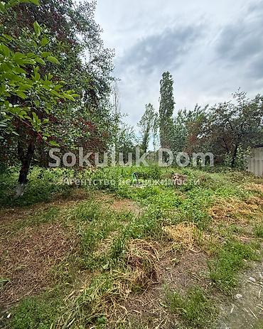 pro group: 🏠Продается дом в г. Шопоков 🟡Комнаты: 4 🟡Участок: 11 соток — 6