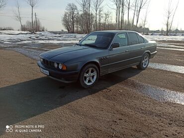 BMW: BMW 5 series: 1991 г., 2 л, Механика, Бензин, Седан