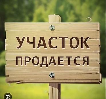 Жер тилкелери: 68 соток — 1