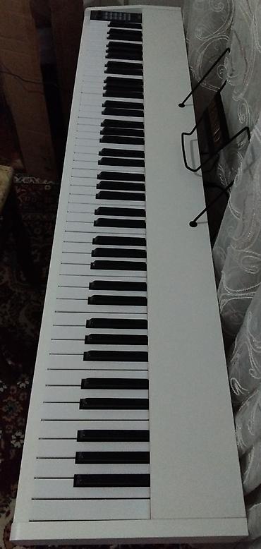 Pianolar: Piano, Rəqəmsal, Yeni, Pulsuz çatdırılma — 7
