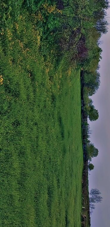 Torpaq sahələrinin satışı: 10 sot, Tikinti, Mülkiyyətçi, Bələdiyyə — 14