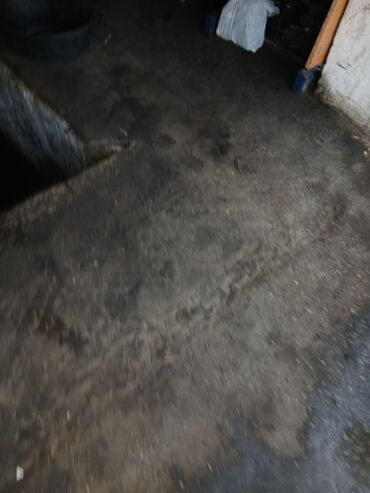 Digər avtomobil ehtiyat hissələri: Peugeot ehtiyat hissələri - Alüminium disklər: 5 cıvatalı, Peugeot — 6