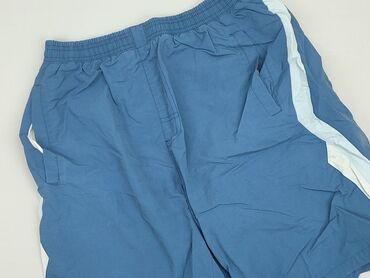 Trousers: Shorts for men, L (EU 40), condition - Good