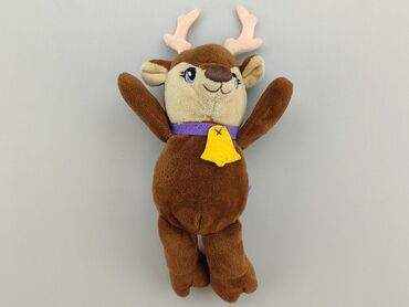 kurtka typu teddy: Mascot condition - Perfect