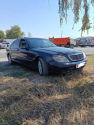 accord 2000: Mercedes-Benz S-Class: 2001 г., 5 л, Автомат, Бензин, Седан — 2