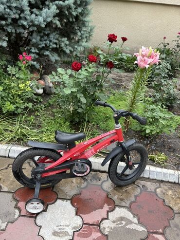 дробилка три в одном: Детский велосипед красного цвета с чёрными крыльями и дополнительными