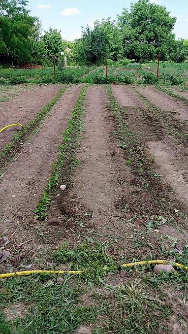 Продажа коттеджей и домов: Продаетьсядом новый с большим участком 12.6соток участок квадратный — 28