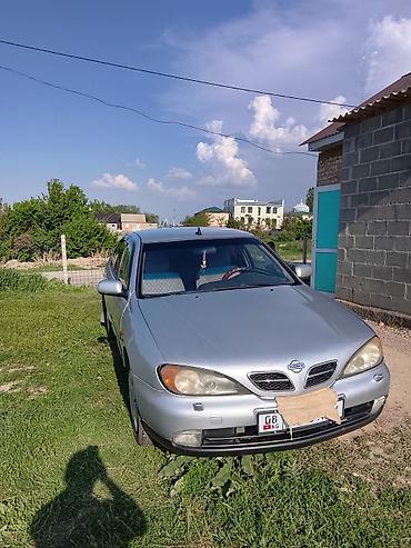 195 70 с: Nissan Primera: 2001 г., 1.8 л, Механика, Бензин, Седан — 4