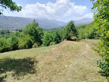 Torpaq sahələrinin satışı: Tikinti — 19