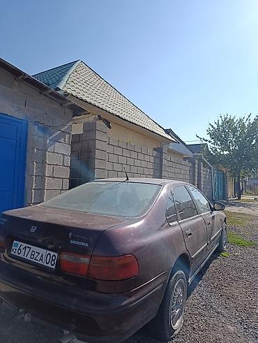 honda prelude 85: Honda Accord: 1995 г., 2 л, Механика, Бензин, Седан — 3