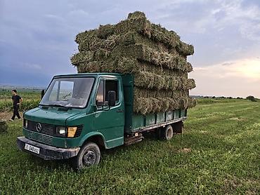 sprinter 2 2: Грузовик, Mercedes-Benz, Стандарт, 5 т, Б/у — 7