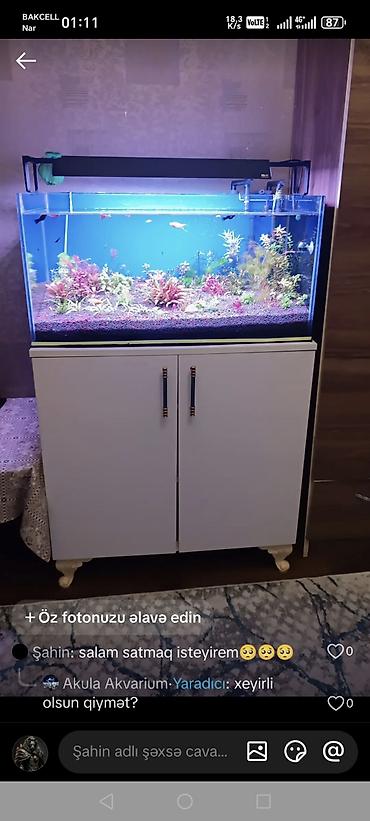 Akvariumlar: Akvarium-şkaf, Boş, 200 l, Ünvandan götürmə, Ödənişli çatdırılma — 3