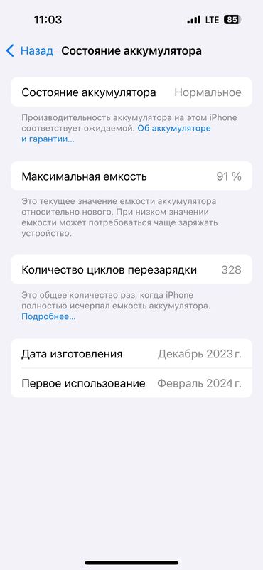 Apple iPhone: IPhone 15 Pro, Б/у, 128 ГБ, Natural Titanium, Защитное стекло, Чехол, 91 %