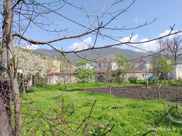xacmazda torpaq satilir: 3 sot, Biznes üçün, Mülkiyyətçi, Kupça (Çıxarış)