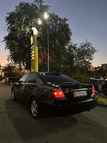 camry 50 55: Toyota Camry: 2005 г., 2.4 л, Автомат, Бензин, Седан — 2