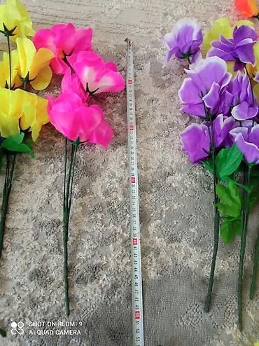 Декоративные цветы: Цветы пластиковые искусственные цветы.
Длина 50см.
50с - 1шт — 6