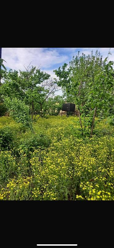 Torpaq sahələrinin satışı: 8 sot, Tikinti, Mülkiyyətçi, Kupça (Çıxarış) — 4