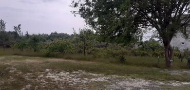 Həyət evləri və villaların satışı: 4 otaqlı, 100 kv. m, Kredit yoxdur, Yeni təmirli — 6