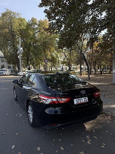 ford taurus: Toyota Camry: 2020 г., 2.5 л, Автомат, Гибрид, Седан — 3