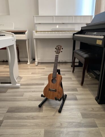 soprano titanium: Ukulele Soprano Concert Tenor Ukulele modellərini mağazaya