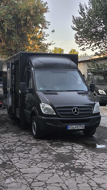 220 mers: Mercedes-Benz Спринтер: 2007 г. — 1