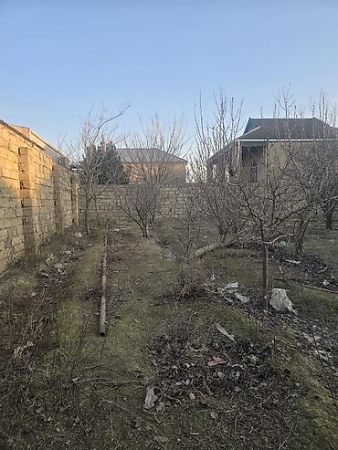Torpaq sahələrinin satışı: 16 sot, Tikinti — 7
