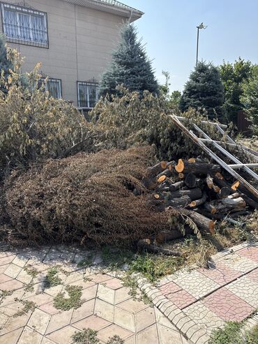 юла отдам даром мебель: На дрова