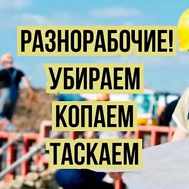 разнорабоч: Мелкосрочные работы, Разнорабочий — 1