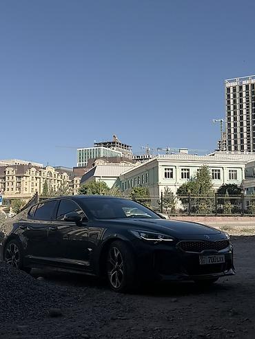 kia stiger: Kia Stinger: 2018 г., 2 л, Автомат, Бензин, Лифтбек — 3