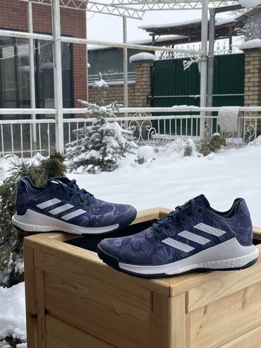 кроссовки адидас мужские оригинал: Adidas crazyflight волейбол учун кроссовка Америкадан келген 🇺🇸