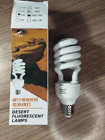 фитолампа: УФ-лампа для рептилий Desert Fluorescent Lamps, UVB 10.0 / UVA — 5