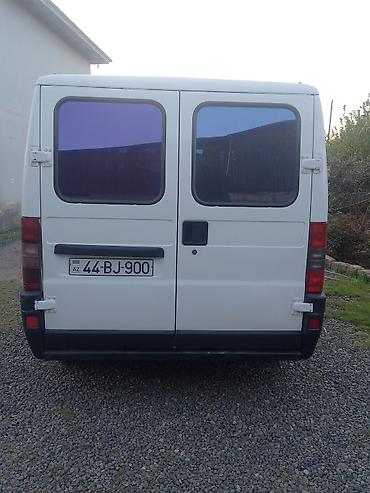 Fiat: Fiat Ducato: 2 l | Mikroavtobus — 14