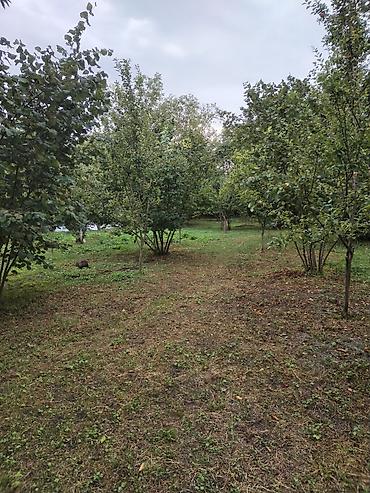 kreditle torpaq sahesi: 31 sot, Tikinti, Kupça (Çıxarış) — 8